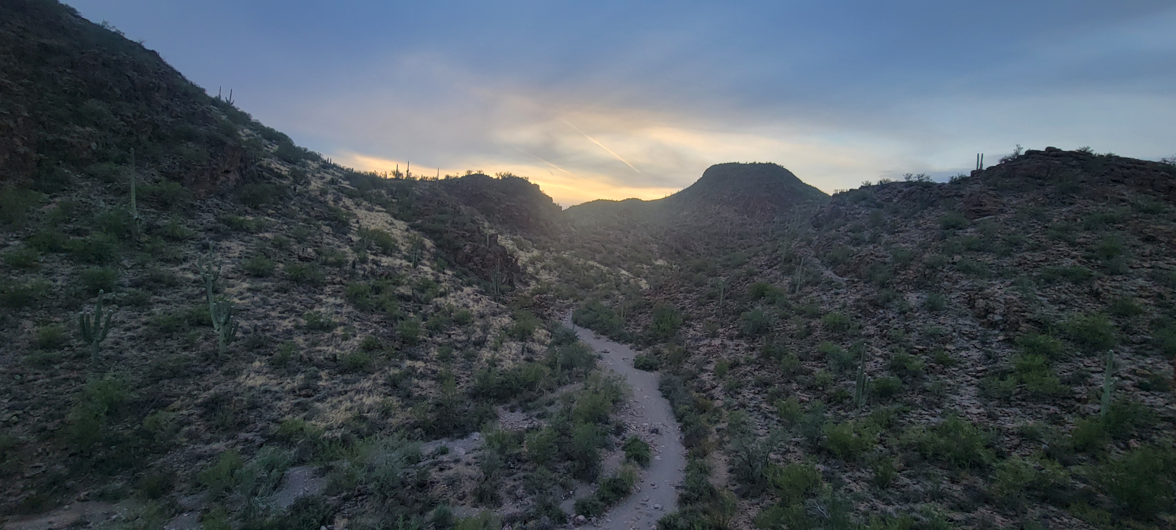 Tucson desert canyon at sunset